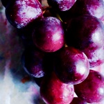 grape purple